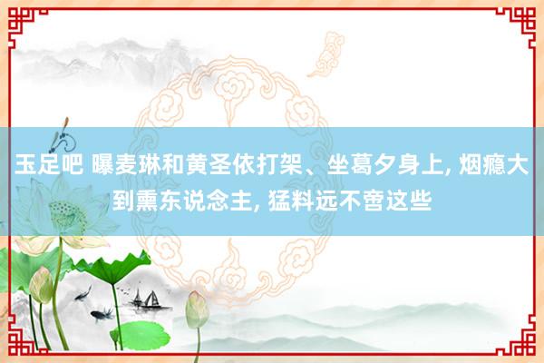 玉足吧 曝麦琳和黄圣依打架、坐葛夕身上， 烟瘾大到熏东说念主， 猛料远不啻这些