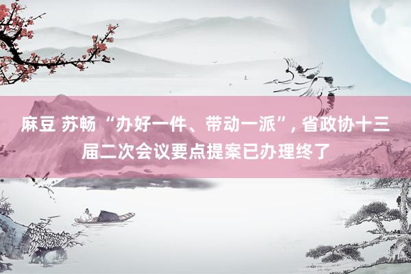 麻豆 苏畅 “办好一件、带动一派”， 省政协十三届二次会议要点提案已办理终了