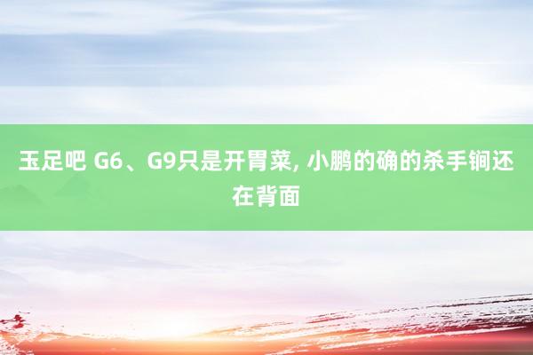 玉足吧 G6、G9只是开胃菜， 小鹏的确的杀手锏还在背面
