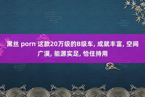 黑丝 porn 这款20万级的B级车， 成就丰富， 空间广漠， 能源实足， 恰住持用