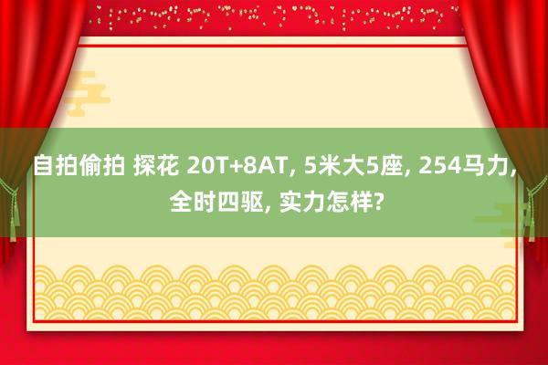 自拍偷拍 探花 20T+8AT， 5米大5座， 254马力， 全时四驱， 实力怎样?