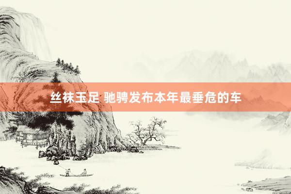 丝袜玉足 驰骋发布本年最垂危的车