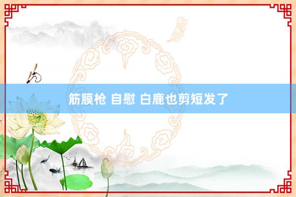 筋膜枪 自慰 白鹿也剪短发了
