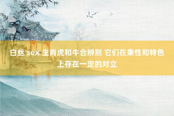 白丝 sex 生肖虎和牛合辨别 它们在秉性和特色上存在一定的对立